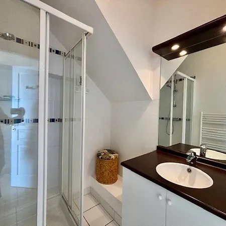 - 2p - 4 Pers - Terrasse - Garage - Animaux Admis - Fr-1-478-79
